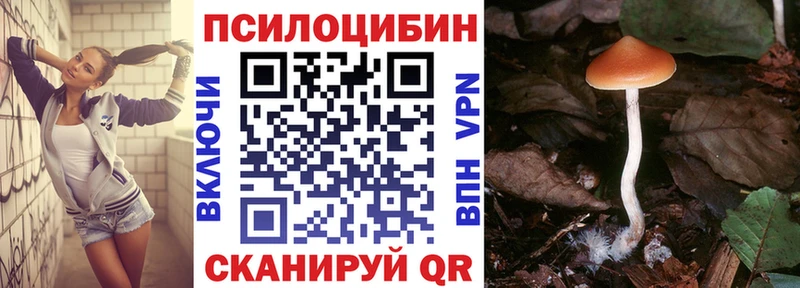 Галлюциногенные грибы ЛСД  Заинск 