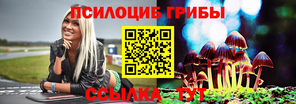 Заинск  Галлюциногенные грибы MAGIC MUSHROOMS  Вход с VPN 