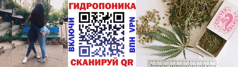 хочу   Заинск  Марихуана планчик 